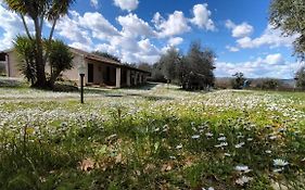 Agriturismo Bio Pian Dei Casali