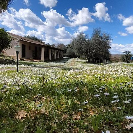 Agriturismo Bio Pian Dei Casali Saturnia Extérieur photo
