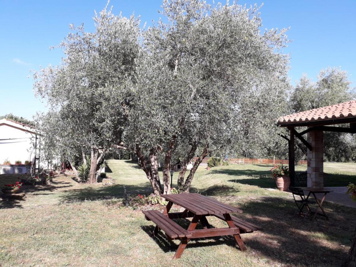 Agriturismo Bio Pian Dei Casali Saturnia Extérieur photo