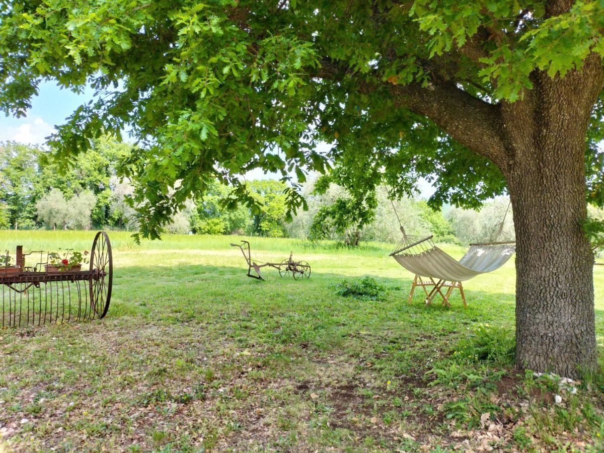 Agriturismo Bio Pian Dei Casali Saturnia Extérieur photo