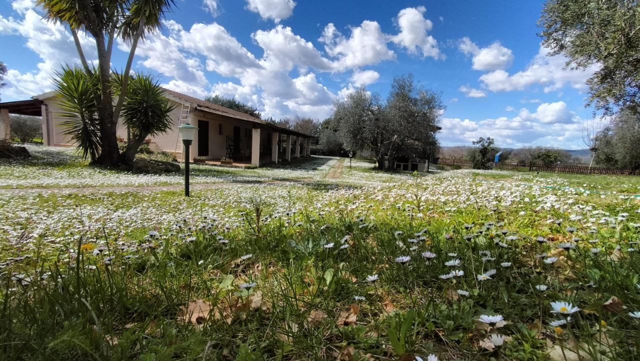 Agriturismo Bio Pian Dei Casali Saturnia Extérieur photo