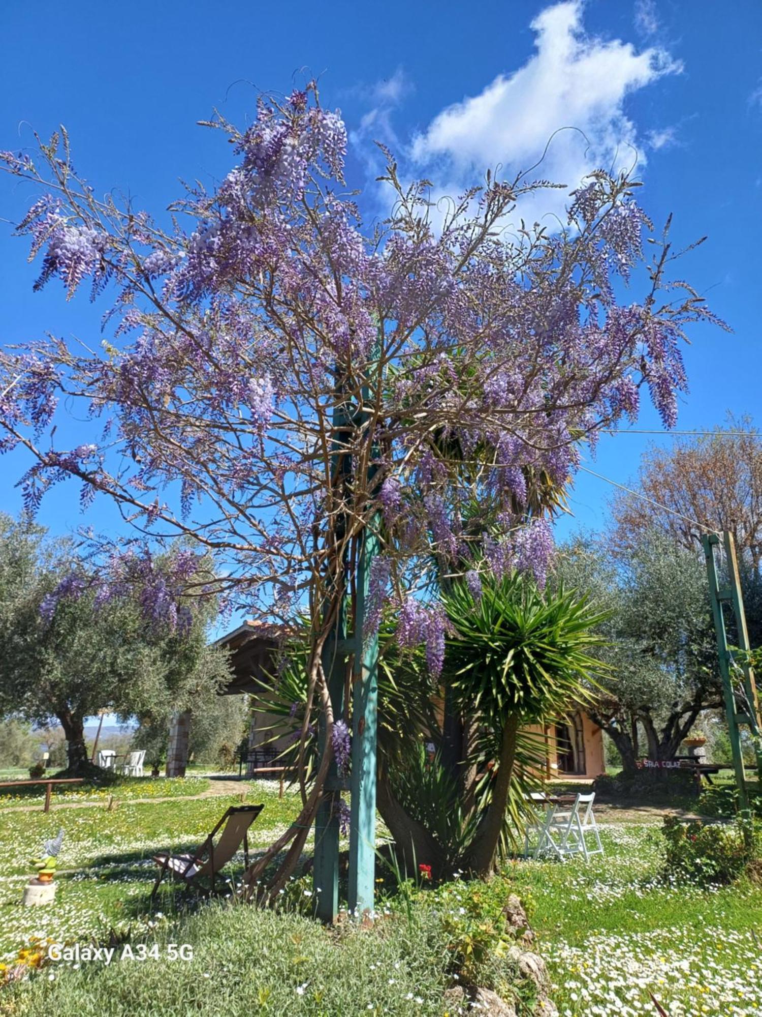 Agriturismo Bio Pian Dei Casali Saturnia Extérieur photo