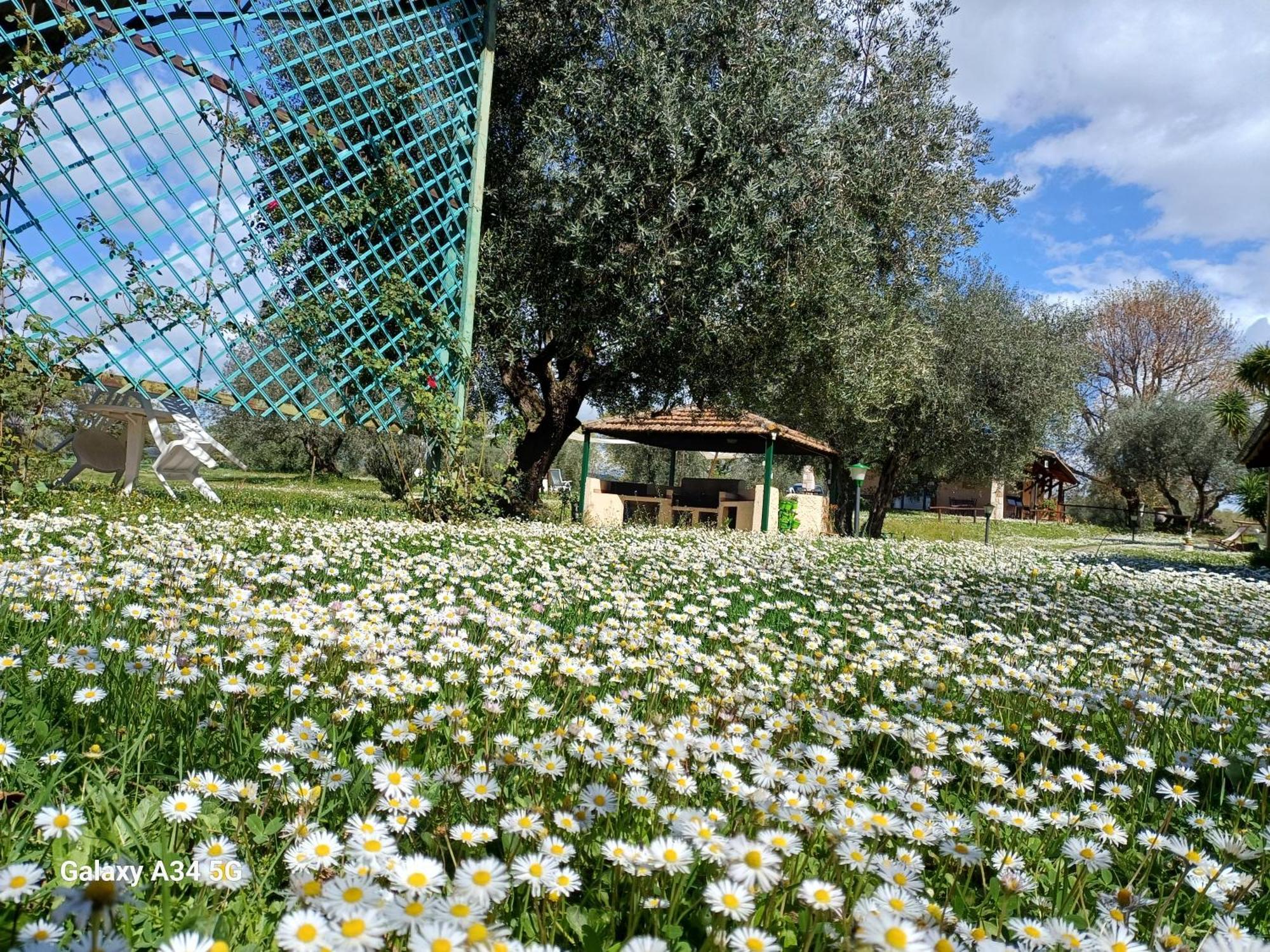 Agriturismo Bio Pian Dei Casali Saturnia Extérieur photo
