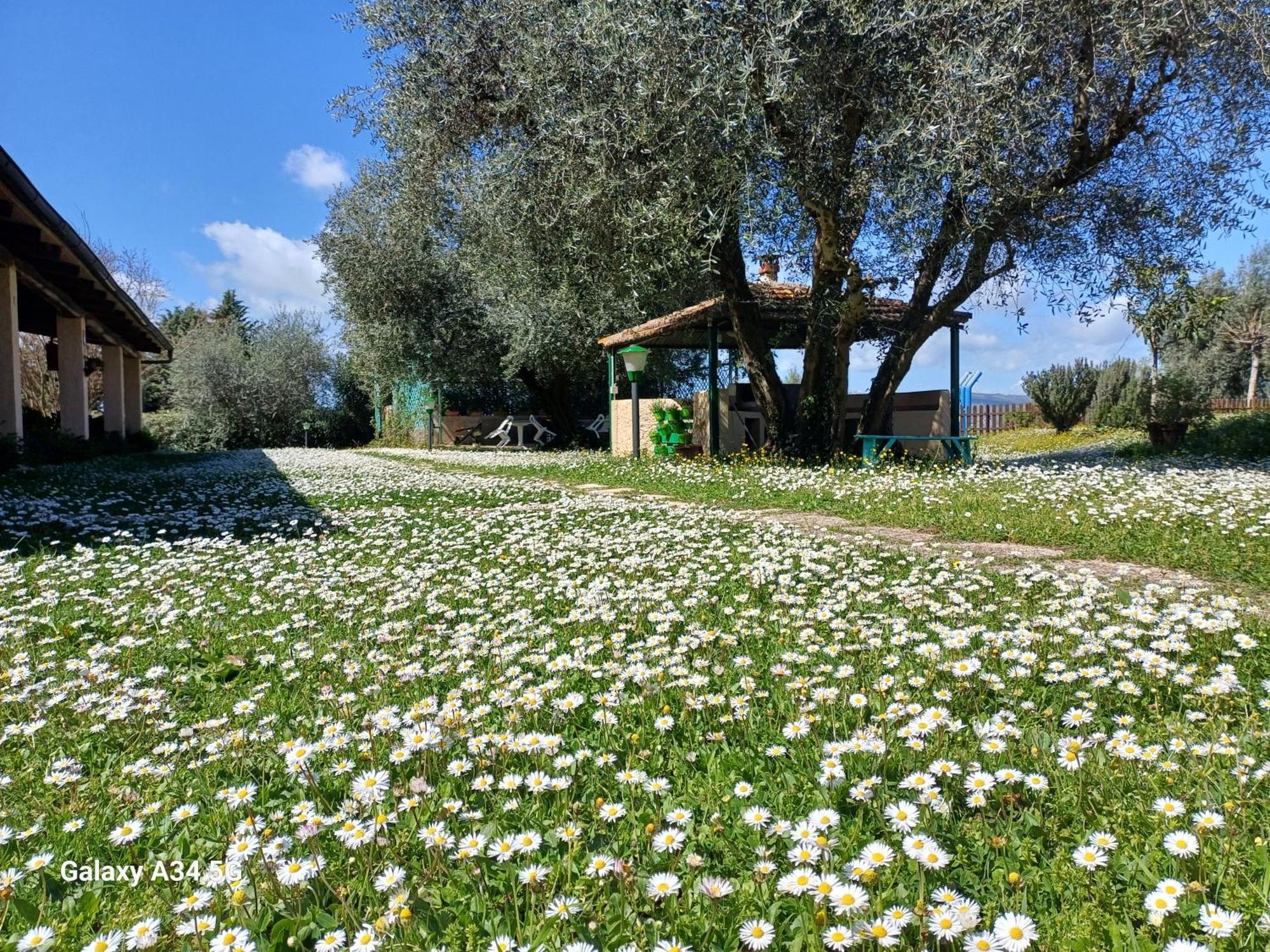 Agriturismo Bio Pian Dei Casali Saturnia Extérieur photo