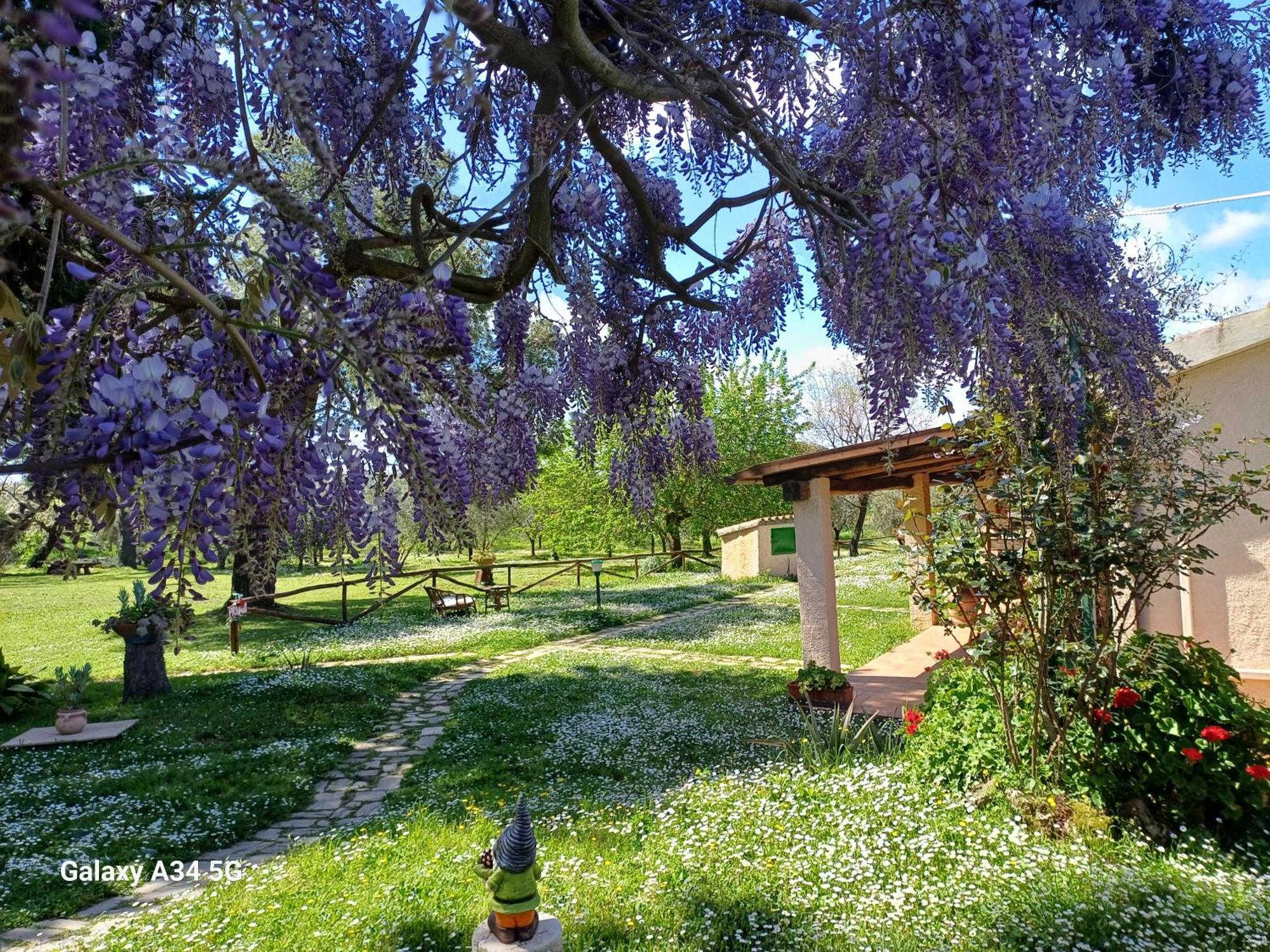 Agriturismo Bio Pian Dei Casali Saturnia Extérieur photo