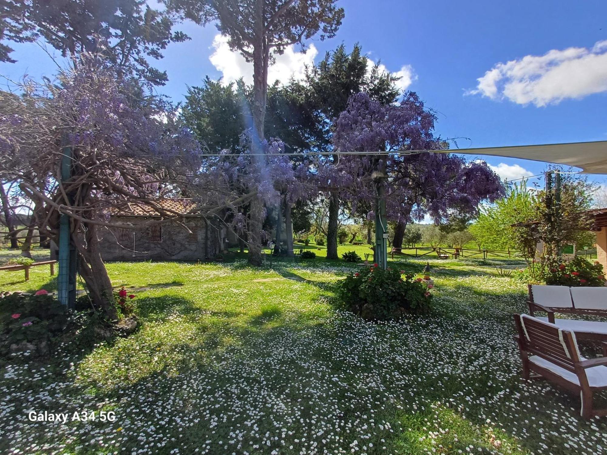 Agriturismo Bio Pian Dei Casali Saturnia Extérieur photo