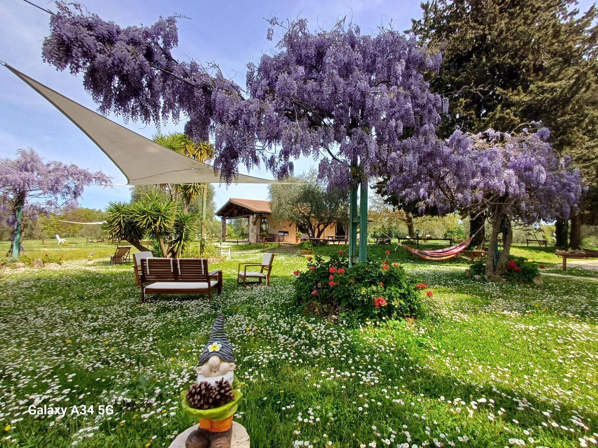 Agriturismo Bio Pian Dei Casali Saturnia Extérieur photo